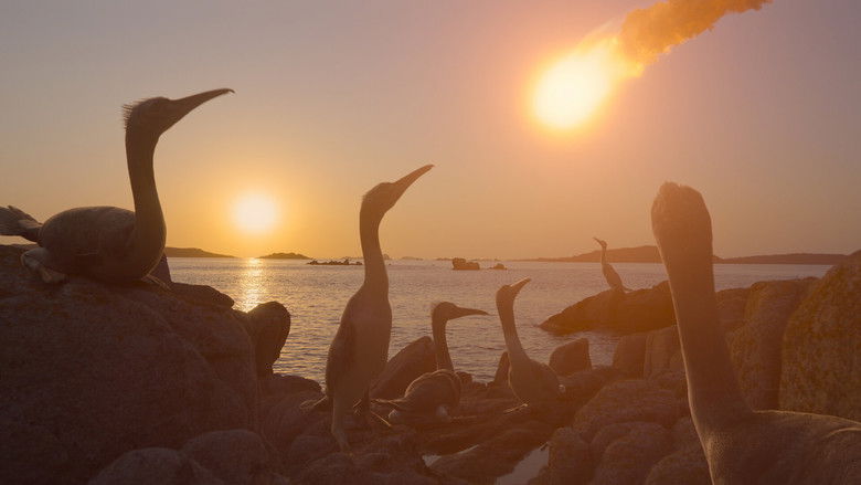 Bölüm 4: Çöküş