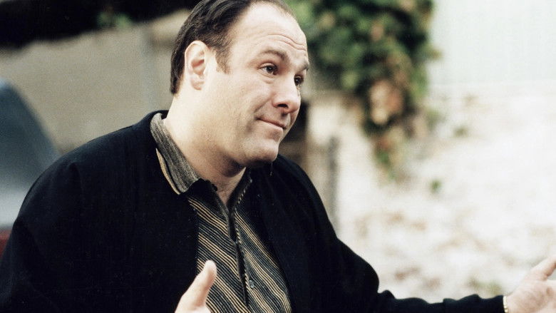 Bölüm 13: Hayalimdeki Jeannie Cusamano